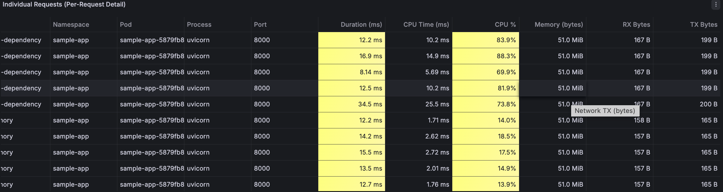 Individual Requests table showing Duration, CPU Time, CPU %, Memory, RX/TX Bytes